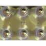 Forma PET Cristal