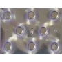 Forma PET Cristal