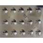 Forma PET Cristal