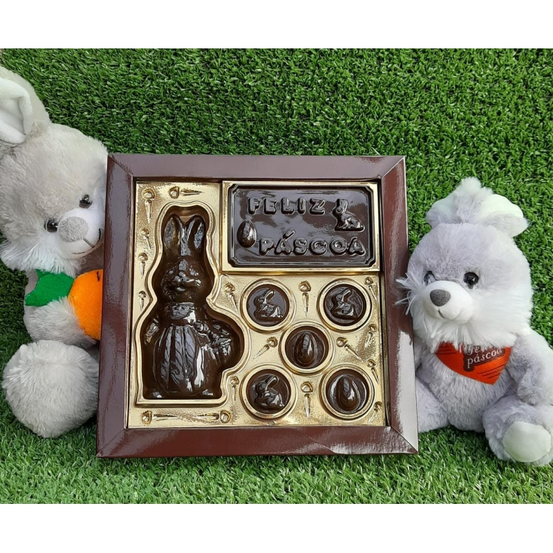 Embalagem 1 coelho 4 placas 5 moedas - Ref. PSC 106