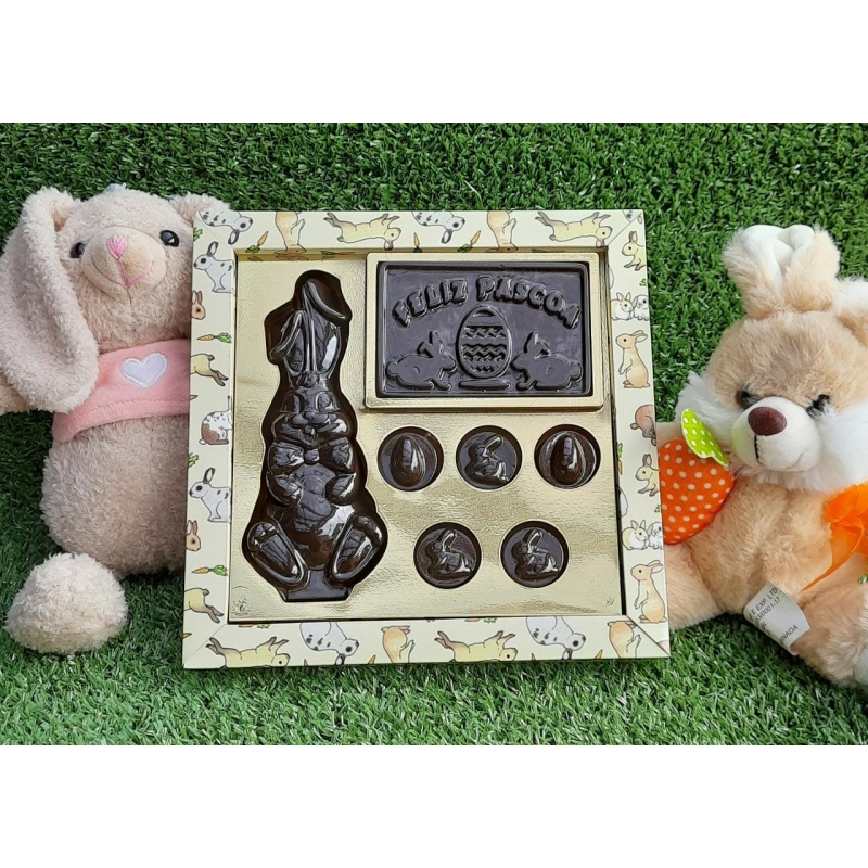 Embalagem 1 coelho 4 placas 5 moedas - Ref. PSC 107