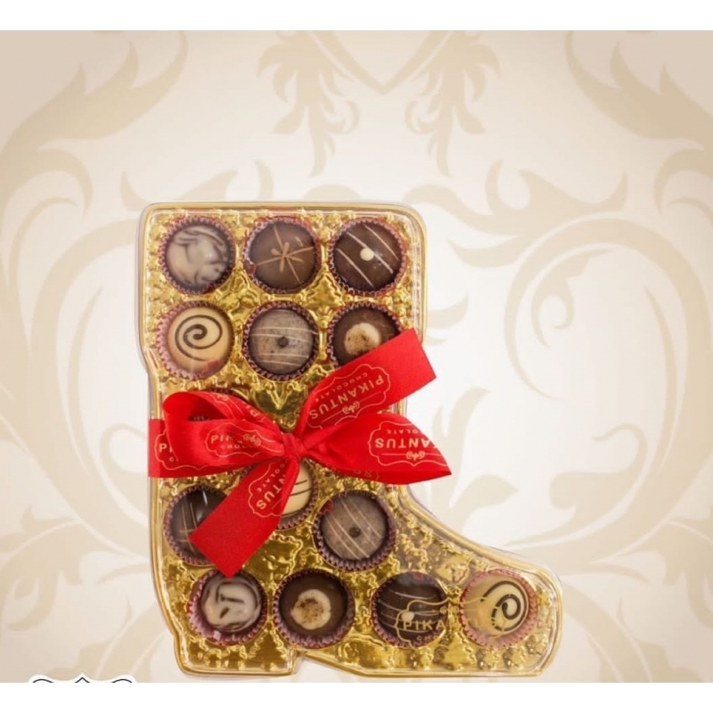 Ref. NT 069 Caixa Pet Bota 15bb