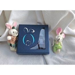 Ref. PRL 165 Cx. rígida 09bb