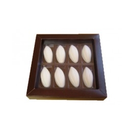 Caixa 08 Cacaus Quadrada