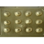 Forma PET Cristal