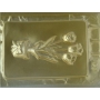 Forma PET Cristal