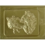 Forma PET Cristal