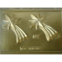 Forma PET Cristal