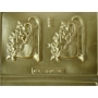 Forma PET Cristal